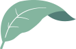Pallitus Leaf Logo